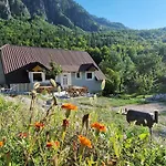 Bujtina Sherifaj Gasthof *