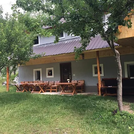 Bujtina Sherifaj * فالبني
