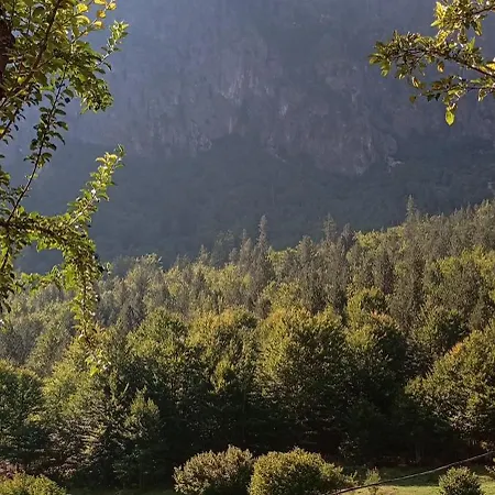Bujtina Sherifaj بيت ريفي *