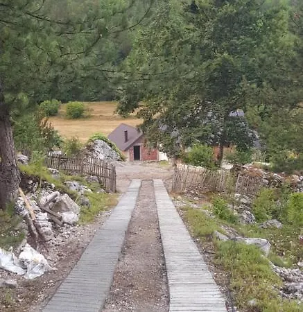 Bujtina Sherifaj *