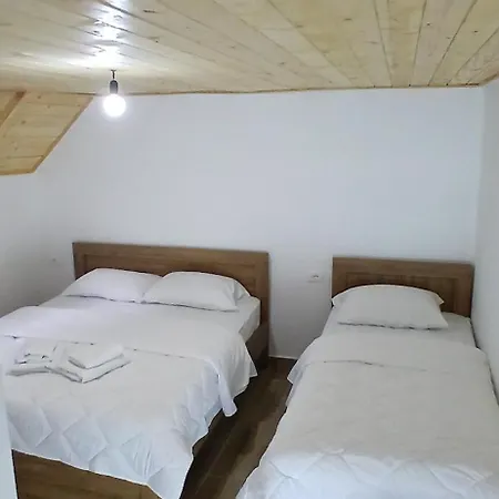 Bujtina Sherifaj * 瓦勒博内