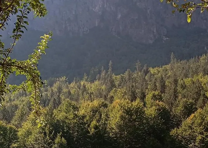 Bujtina Sherifaj Estalagem *