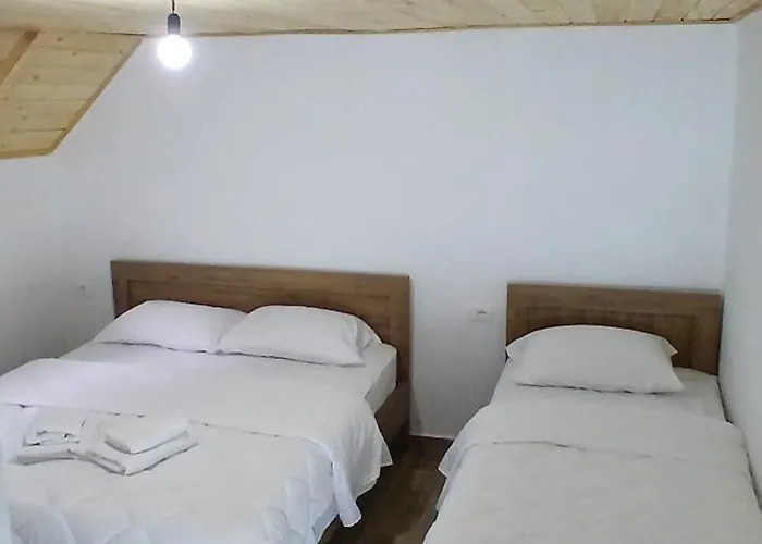 Bujtina Sherifaj * Valbonne