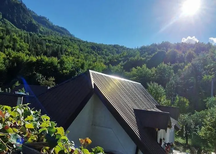 Bujtina Sherifaj * Valbonne