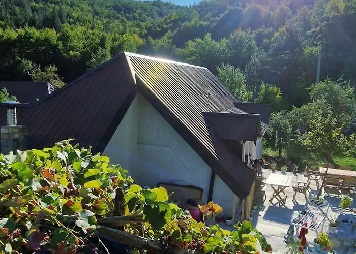 Bujtina Sherifaj * Valbonne